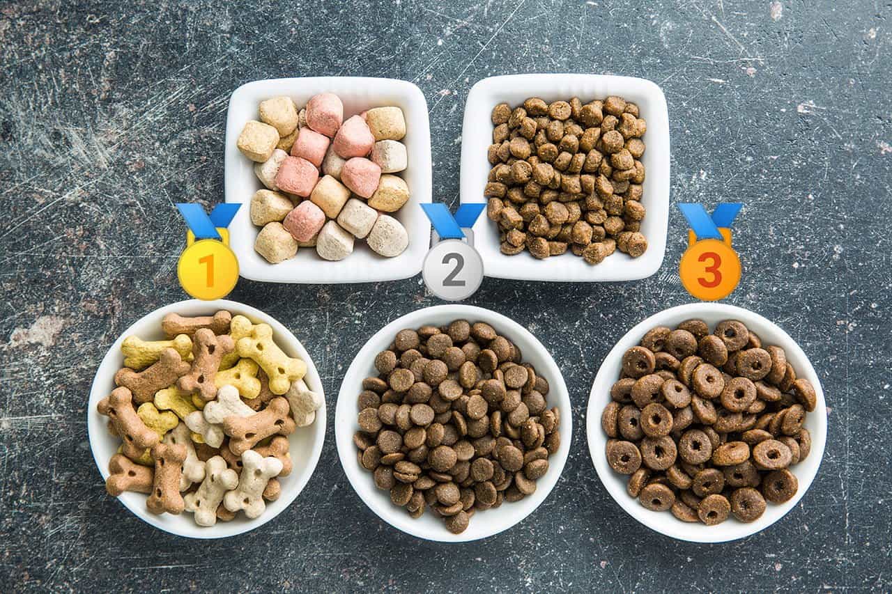Les 10 meilleures marques de croquettes pour chien en 2022